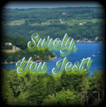 Surely, You Jest! a personal journal