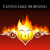 Tastes Like Burning: the personal journal of a gay couple